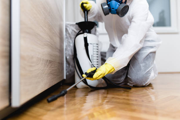 Best Bed Bug Extermination  in Fort Campbell North, KY