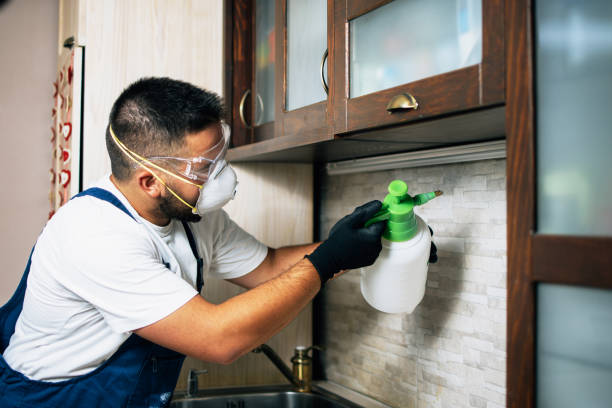 Best Exterminator Services  in Fort Campbell North, KY