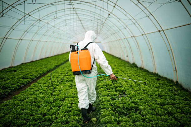 Pest Control Cost in Fort Campbell North, KY