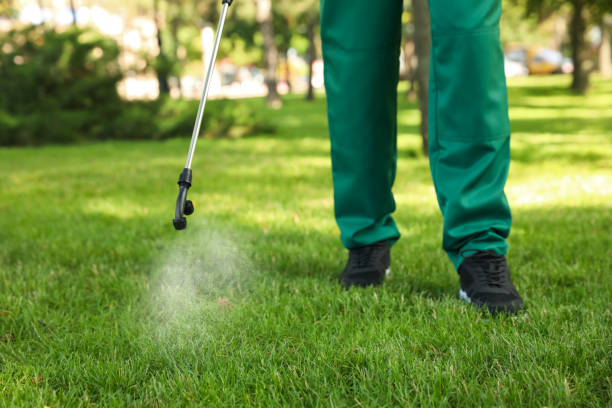 Wasp Removal Services in Fort Campbell North, KY