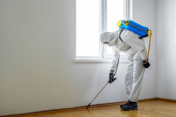 Best Insect Control  in Fort Campbell North, KY