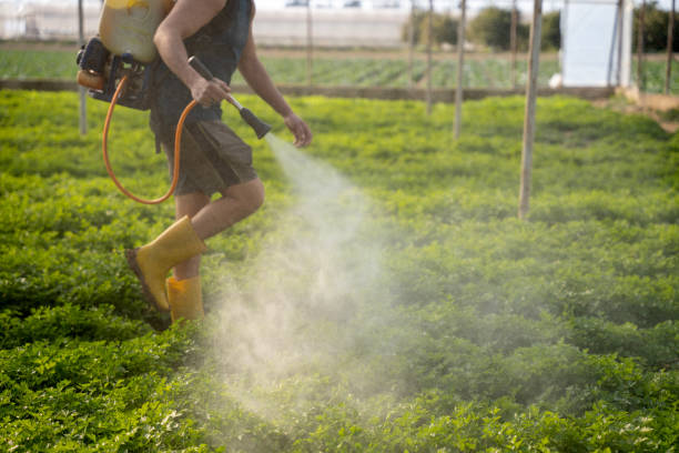 Best Best Pest Control Companies  in Fort Campbell North, KY