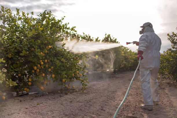 Best Wildlife Control Services  in Fort Campbell North, KY