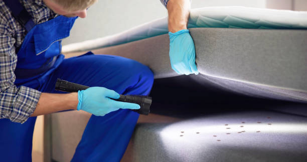 Best Affordable Pest Control Services  in Fort Campbell North, KY