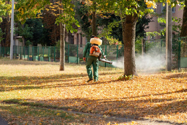 Best Best Pest Control Companies  in Fort Campbell North, KY