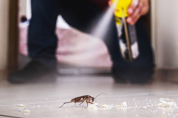 Best Termite Control Services  in Fort Campbell North, KY