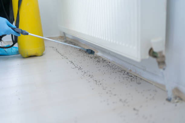 Best Residential Pest Control  in Fort Campbell North, KY